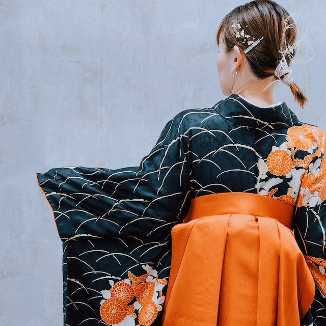 黒/金彩模様に菊